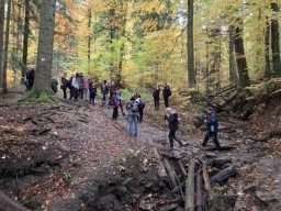 56479003512823995170213274214011419993746208n